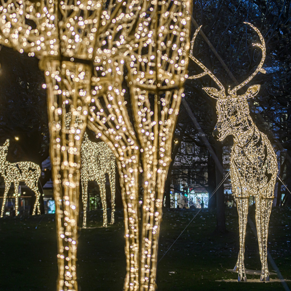© Jens Hagens | Winterbeleuchtung  | 