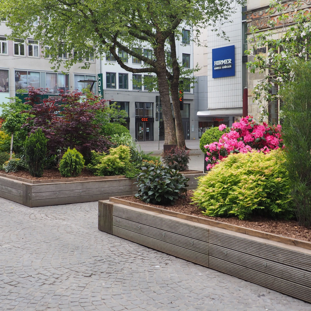 Frühjahrsgärten Ansgarikirchhof | 
